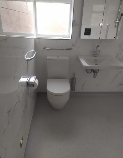 disabled wet room toilet